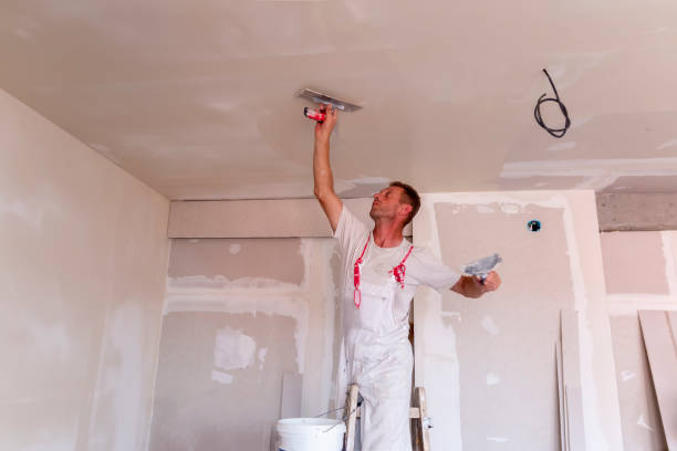 Professional Drywall and Painting Service in Gibsonton, FL